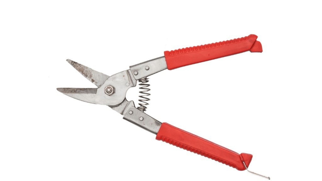 Non-Curved Pruning Shears