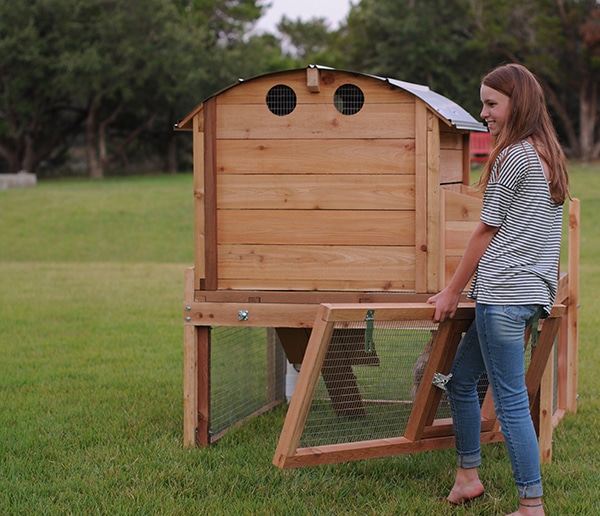 Buying Chicken Coop