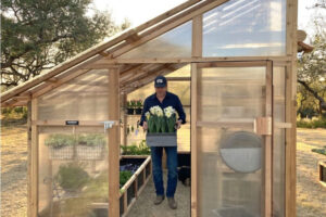 Roof-Greenhouse