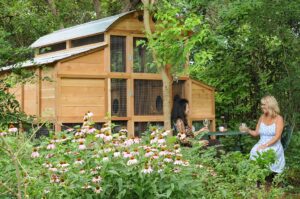 Walk-in Chicken Coop (1)